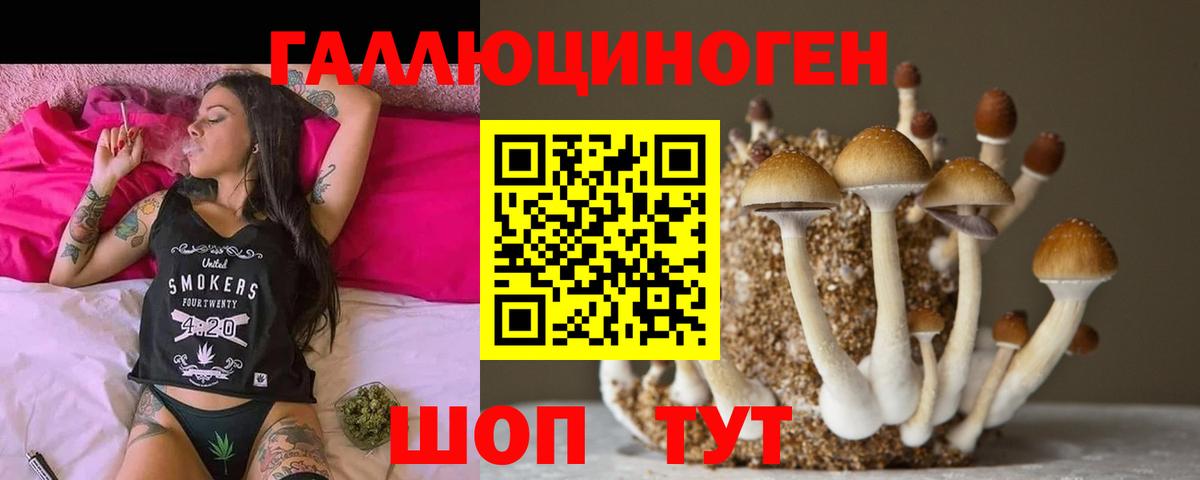 цена   Вход с VPN  Лабытнанги  Галлюциногенные грибы Cubensis 